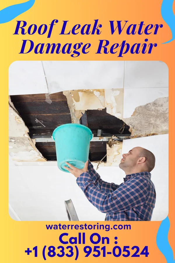 Roof Leak Water Damage Repair in Orangeville, UT